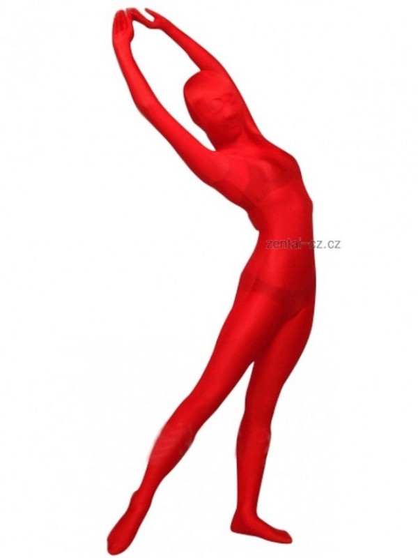 Zentai 13313